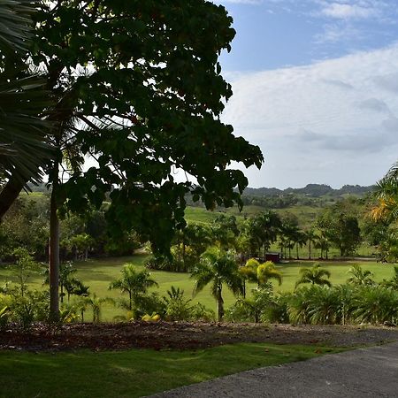 Camuy Hotel Hacienda Agroturistico Vista Hermosa المظهر الخارجي الصورة