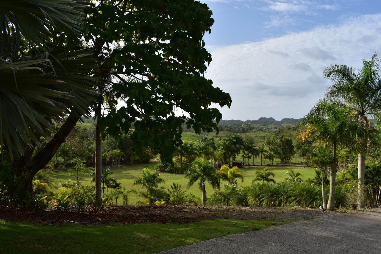 Camuy Hotel Hacienda Agroturistico Vista Hermosa المظهر الخارجي الصورة